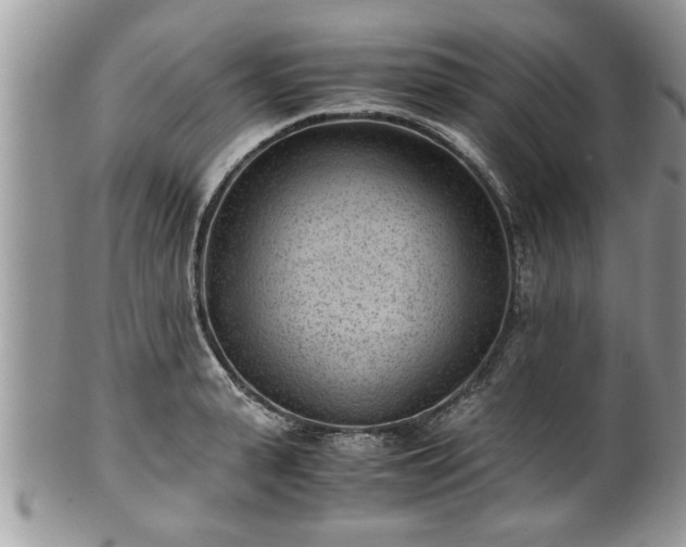 X0000101190943200807071311
