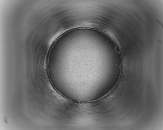 X0000101190944200807071311