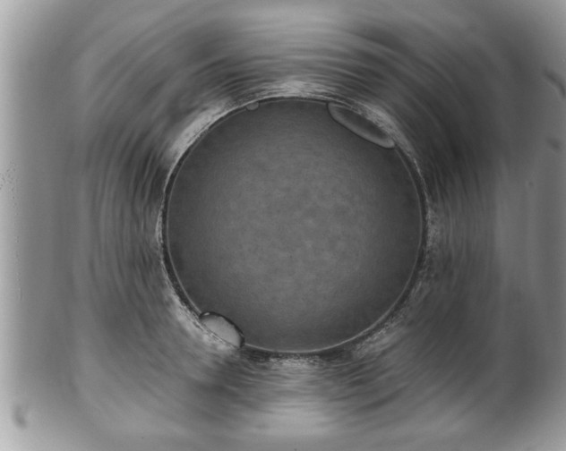 X0000101190946200807071311