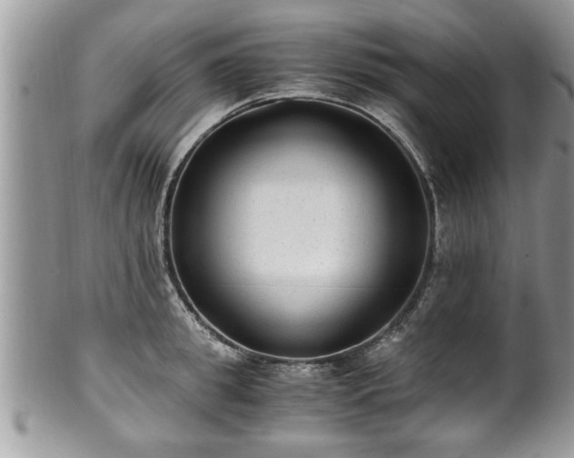 X0000101190949200807071311