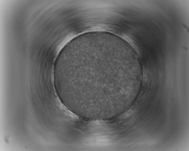X0000101190950200807071311