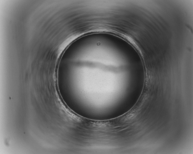 X0000101190951200807071311