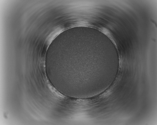 X0000101190954200807071311