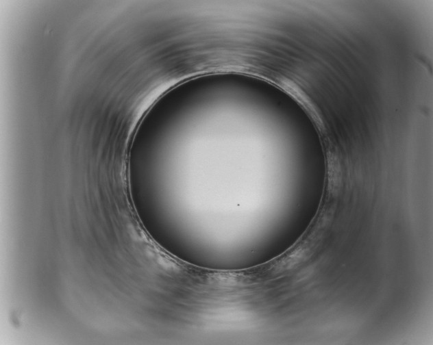 X0000101190956200807071311