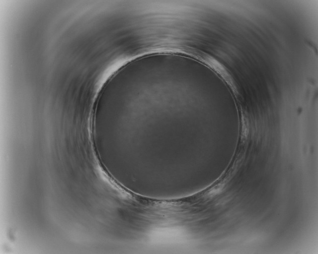 X0000101190958200807071311