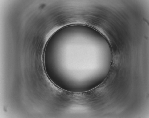 X0000101190959200807071311