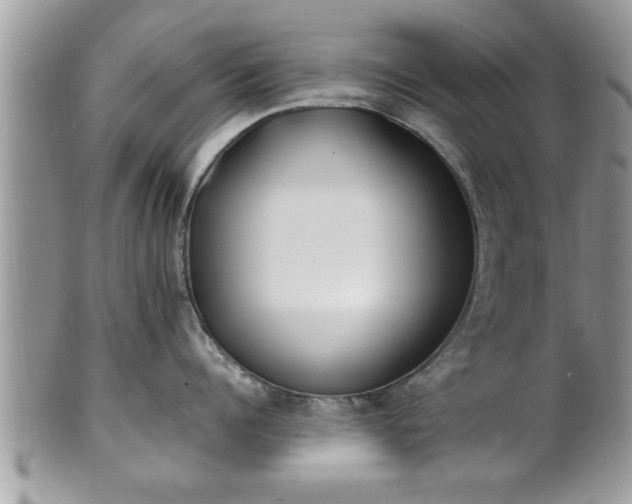 X0000101190960200807071311