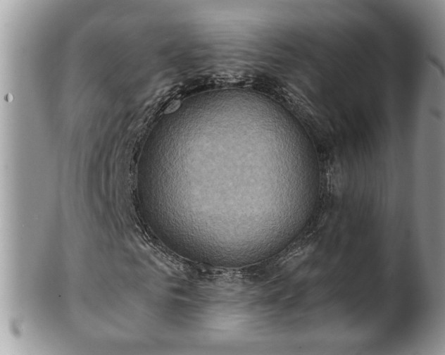 X0000101190961200807071310