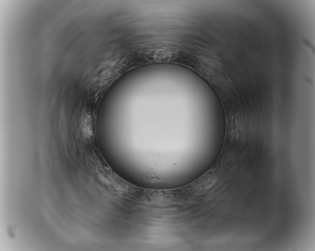 X0000101190962200807071310