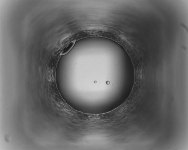 X0000101190965200807071310