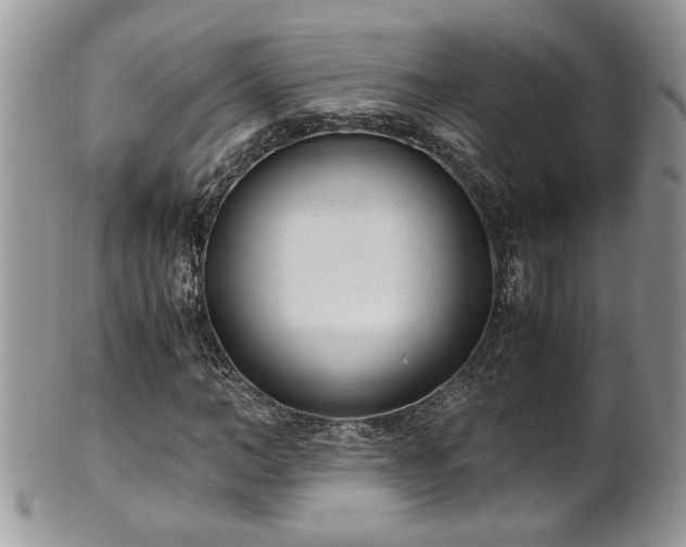 X0000101190966200807071310