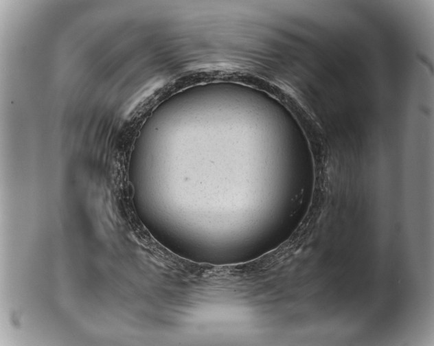 X0000101190967200807071310