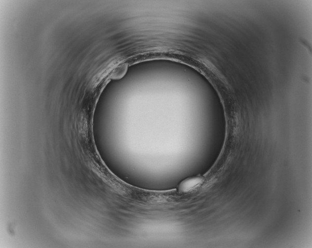 X0000101190969200807071310