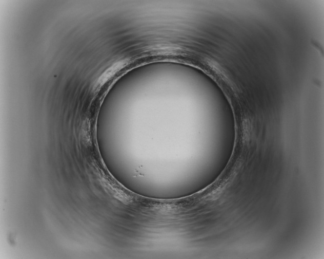 X0000101190970200807071310
