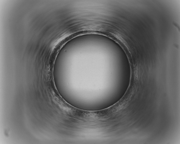 X0000101190971200807071310