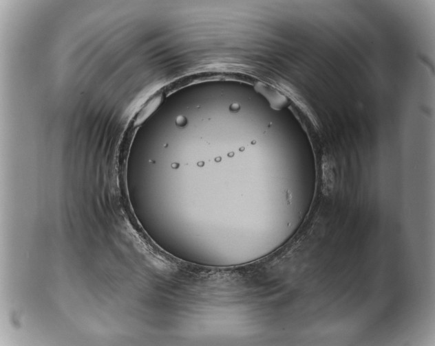 X0000101190972200807071310
