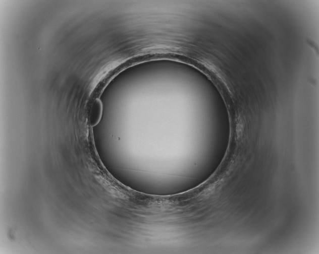 X0000101190973200807071310