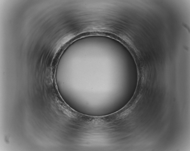 X0000101190974200807071310