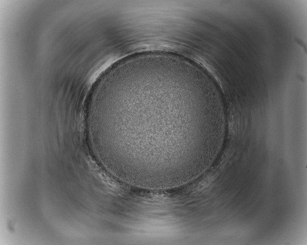 X0000101190975200807071310