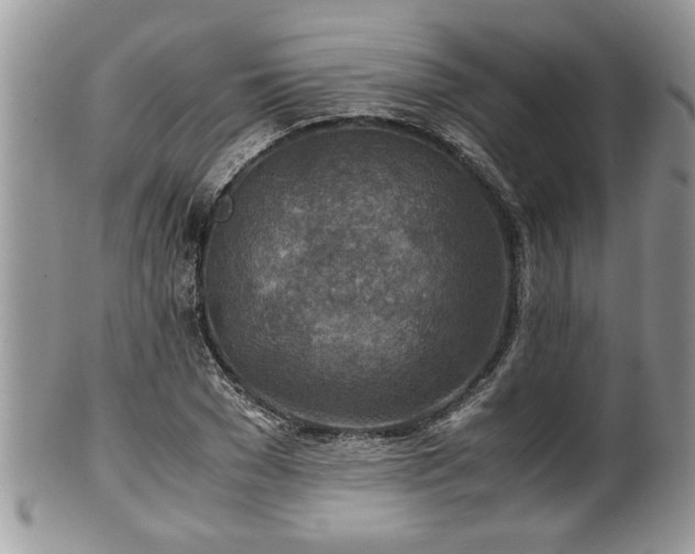 X0000101190977200807071310