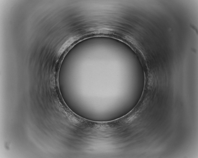 X0000101190978200807071310