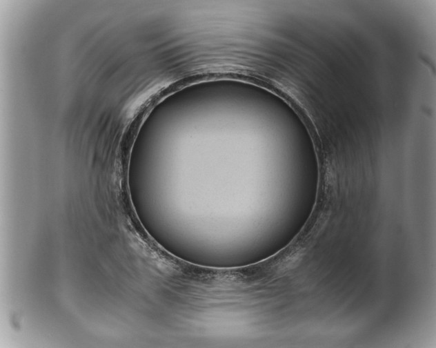 X0000101190979200807071310