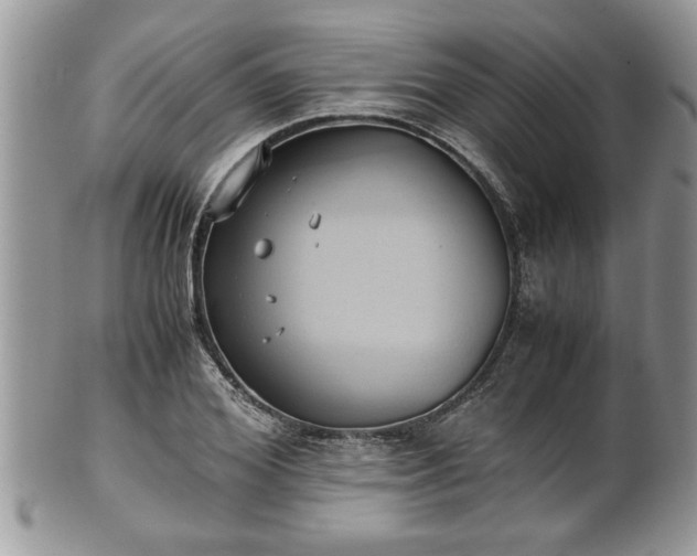 X0000101190980200807071310