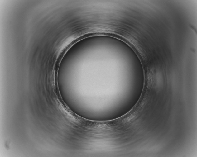 X0000101190982200807071310