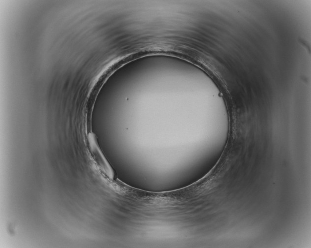 X0000101190984200807071310