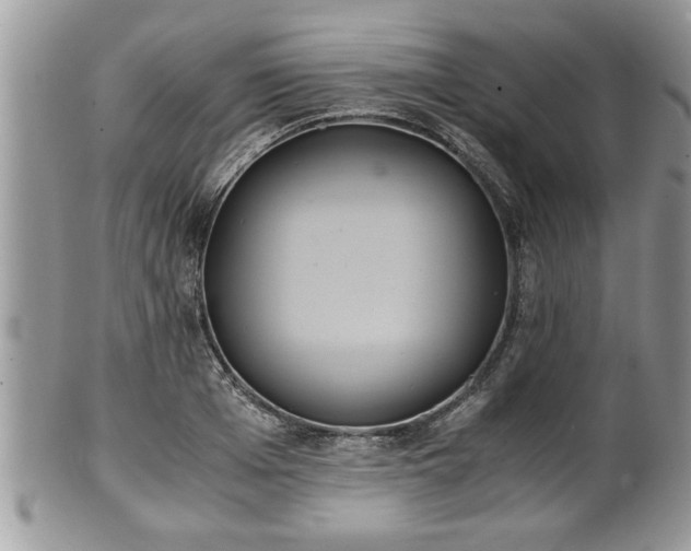 X0000101190985200807071310