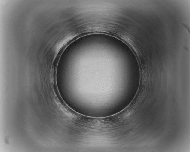 X0000101190987200807071310