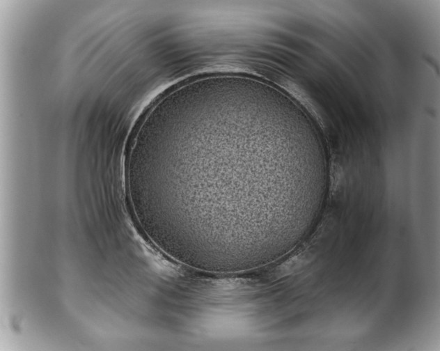 X0000101190988200807071310