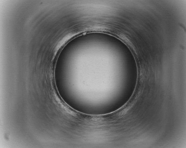 X0000101190989200807071310