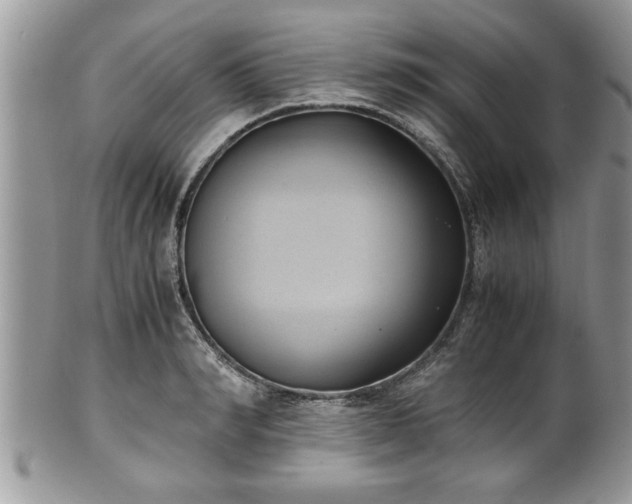 X0000101190990200807071310