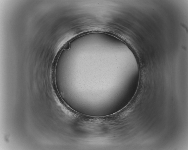 X0000101190991200807071310