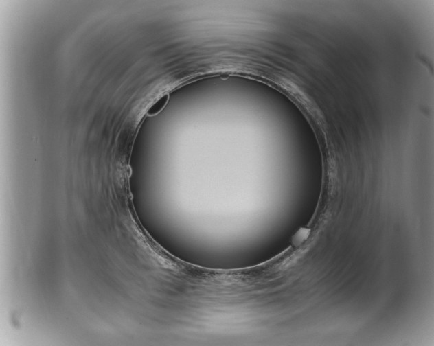 X0000101190993200807071310