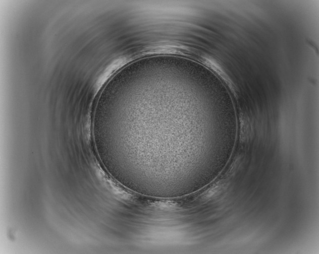 X0000101190994200807071310