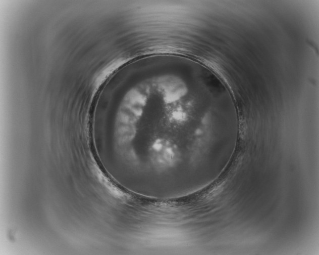 X0000101190995200807071310