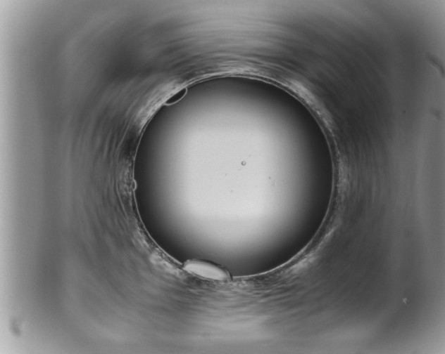 X0000101191001200807071310