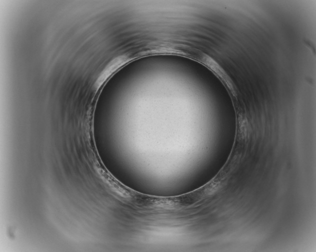 X0000101191002200807071310