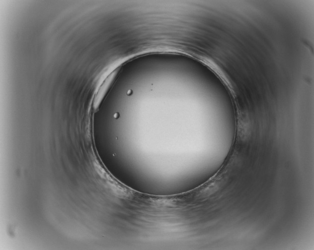 X0000101191004200807071310