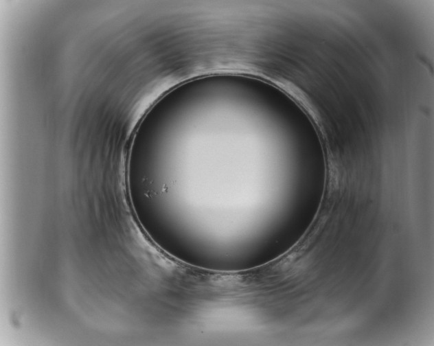 X0000101191006200807071310