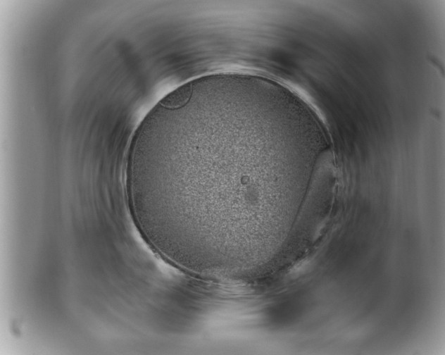 X0000101191007200807071310
