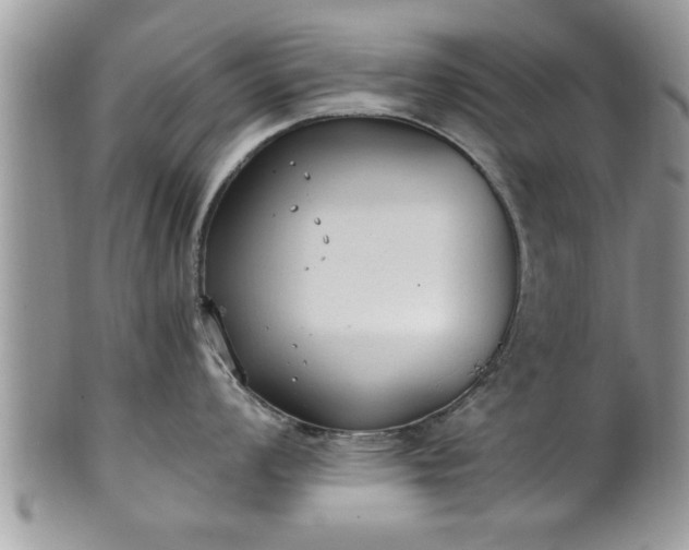 X0000101191008200807071310