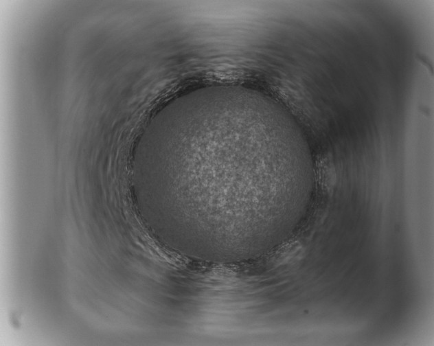 X0000101191009200807071309