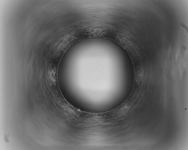 X0000101191010200807071309