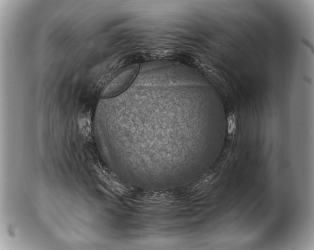 X0000101191011200807071309