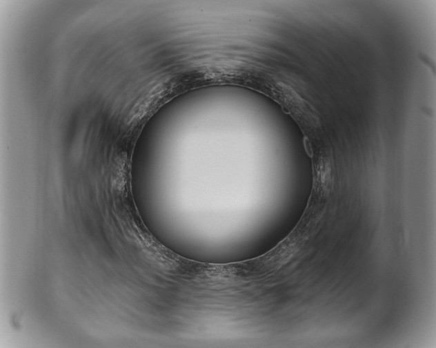 X0000101191012200807071309