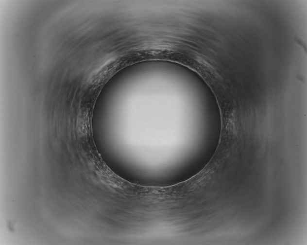 X0000101191014200807071309