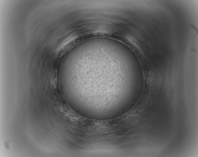 X0000101191015200807071309